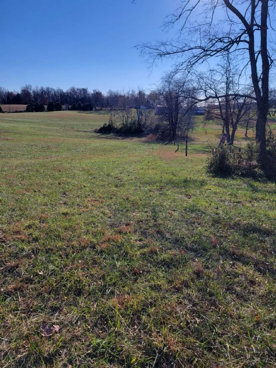 Kentucky Land Company